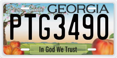 GA license plate PTG3490