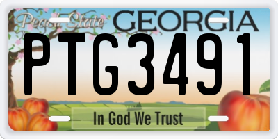 GA license plate PTG3491