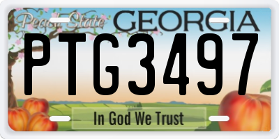 GA license plate PTG3497