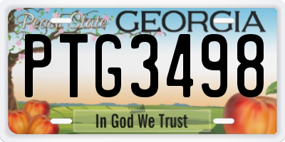 GA license plate PTG3498