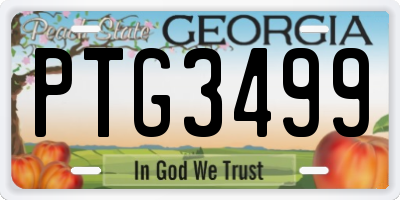 GA license plate PTG3499
