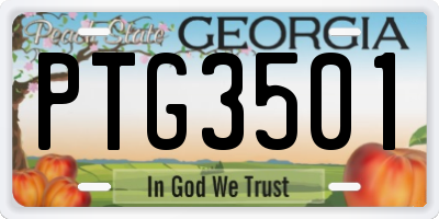 GA license plate PTG3501