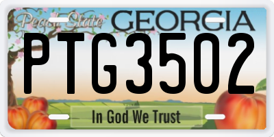 GA license plate PTG3502
