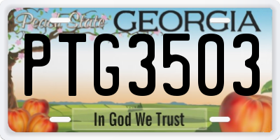 GA license plate PTG3503