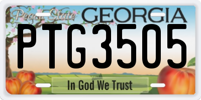 GA license plate PTG3505