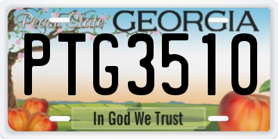 GA license plate PTG3510