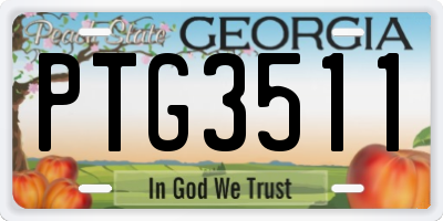 GA license plate PTG3511