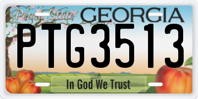 GA license plate PTG3513