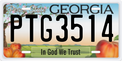GA license plate PTG3514