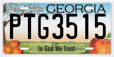GA license plate PTG3515