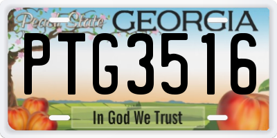 GA license plate PTG3516