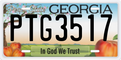 GA license plate PTG3517