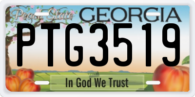 GA license plate PTG3519