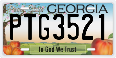 GA license plate PTG3521