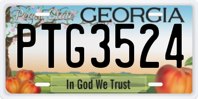 GA license plate PTG3524