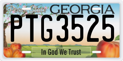 GA license plate PTG3525