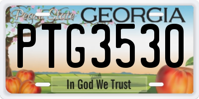 GA license plate PTG3530