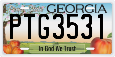 GA license plate PTG3531