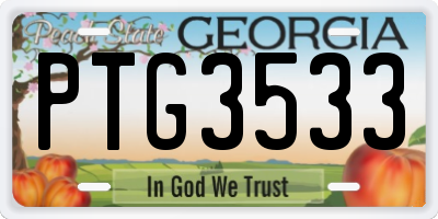 GA license plate PTG3533