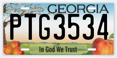 GA license plate PTG3534