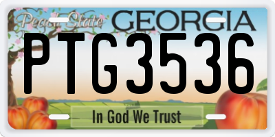 GA license plate PTG3536