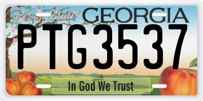 GA license plate PTG3537