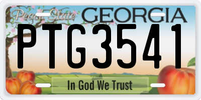 GA license plate PTG3541