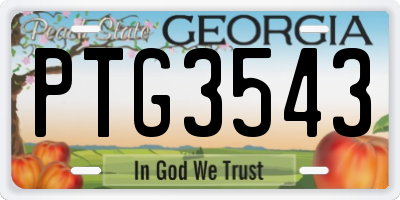 GA license plate PTG3543