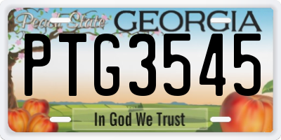 GA license plate PTG3545