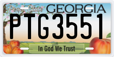GA license plate PTG3551