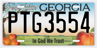 GA license plate PTG3554