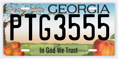 GA license plate PTG3555