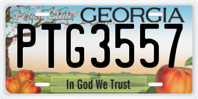 GA license plate PTG3557