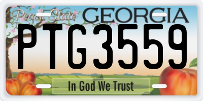 GA license plate PTG3559