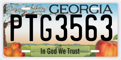 GA license plate PTG3563