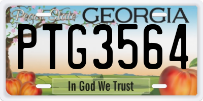 GA license plate PTG3564