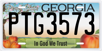 GA license plate PTG3573