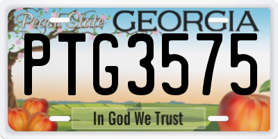 GA license plate PTG3575
