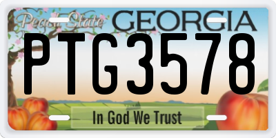 GA license plate PTG3578