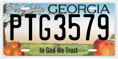 GA license plate PTG3579