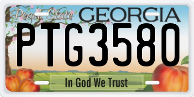 GA license plate PTG3580