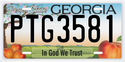 GA license plate PTG3581