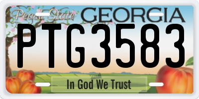 GA license plate PTG3583