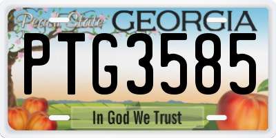 GA license plate PTG3585