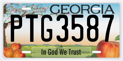 GA license plate PTG3587