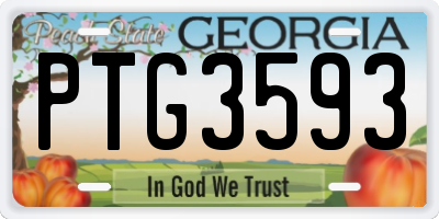 GA license plate PTG3593