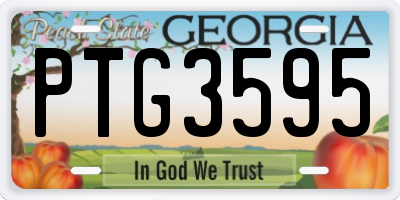 GA license plate PTG3595