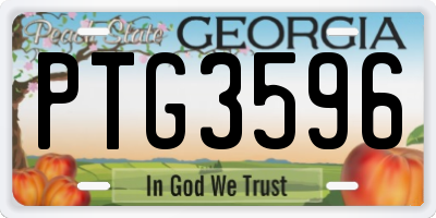 GA license plate PTG3596