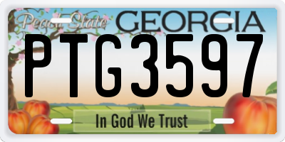 GA license plate PTG3597