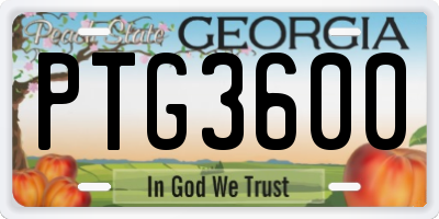 GA license plate PTG3600